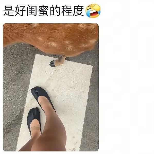 【爆笑】“发现老公总是半夜去酒店消费后....”啊啊啊啊啊啊啊最意想不到的一集(组图) - 31