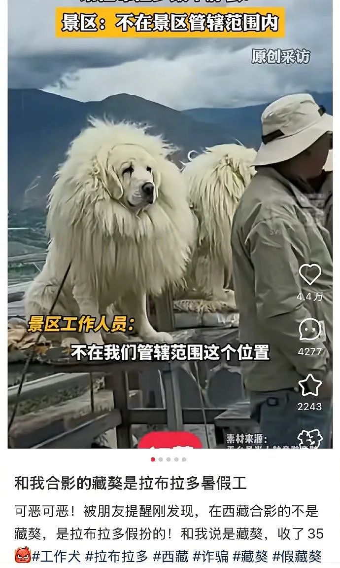 【爆笑】“发现老公总是半夜去酒店消费后....”啊啊啊啊啊啊啊最意想不到的一集(组图) - 72