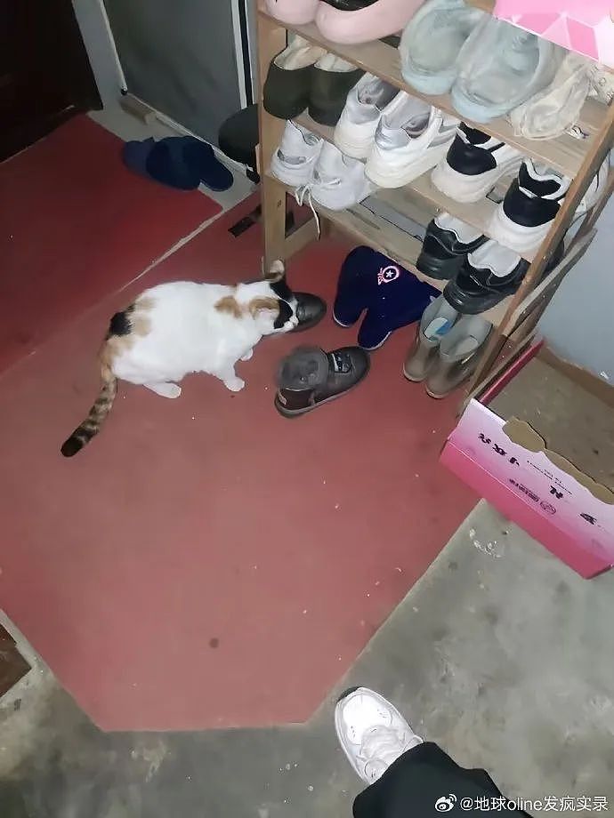 【爆笑】“分手后被前任送了一套房.....”啊啊啊啊啊好小众的文字（组图） - 10