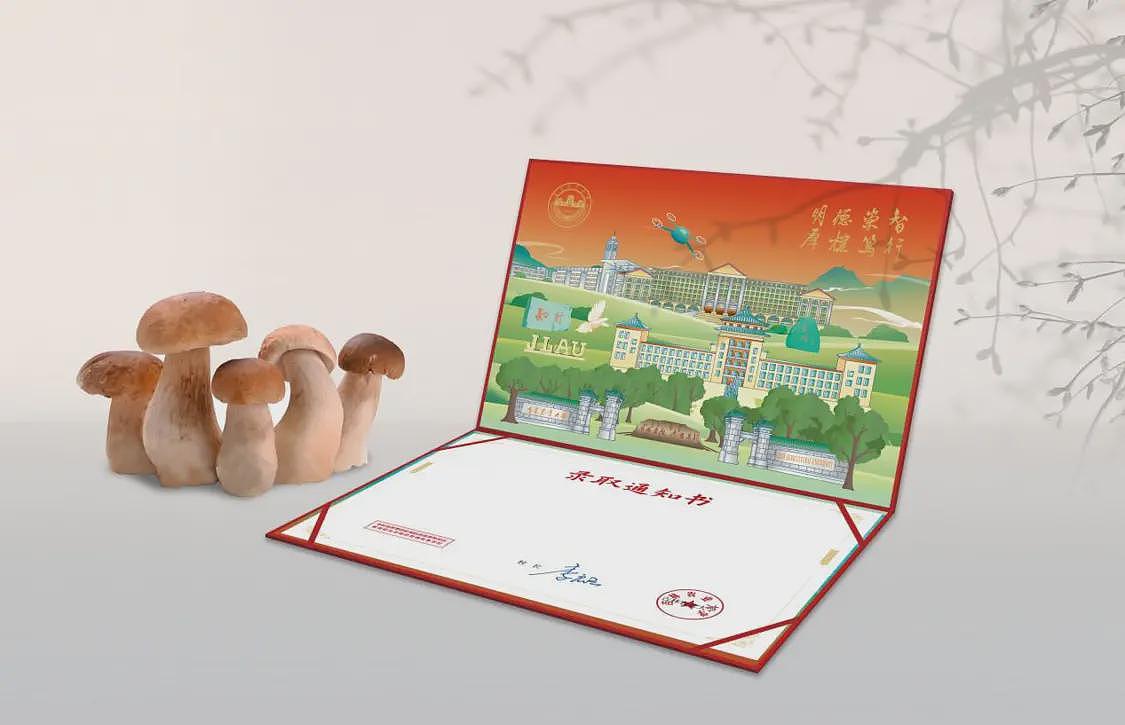 录取通知书变“小鸡炖蘑菇”？高校回应（组图） - 1