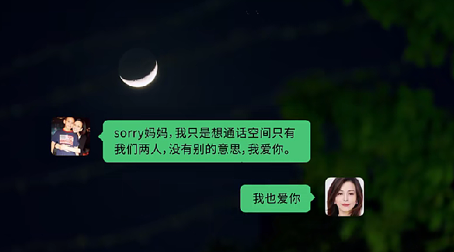 55岁“雪姨”王琳独居千万别墅,儿子美国留学每年仅回家5天!她的爱被批窒息?(组图) - 4