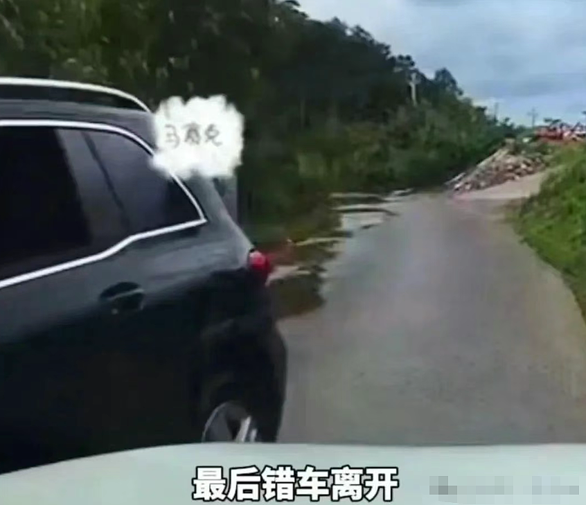 爆火的“奔驰亮证姐”什么人?记者致电问官方身份回应给我气吐血(组图) - 4