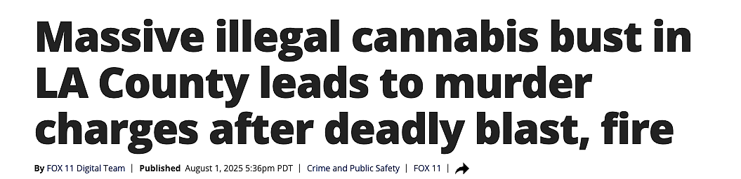 华男仓库爆炸中身亡！洛杉矶非法大麻提取致5死：6人被控罪，涉案物价值超1亿美元（组图） - 1