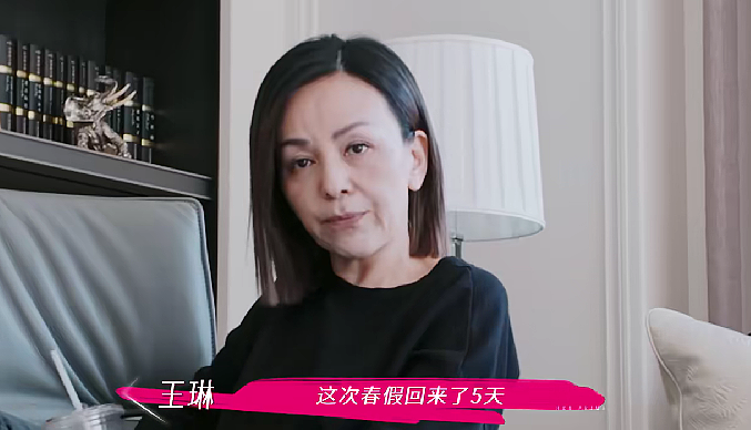 55岁“雪姨”王琳独居千万别墅,儿子美国留学每年仅回家5天!她的爱被批窒息?(组图) - 18