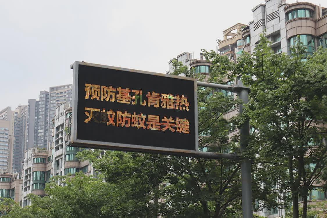 实探基孔肯雅热三级响应镇：医疗资源充足，基层防疫任务重（组图） - 1