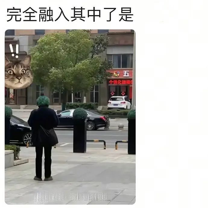 【爆笑】“发现老公总是半夜去酒店消费后....”啊啊啊啊啊啊啊最意想不到的一集(组图) - 34