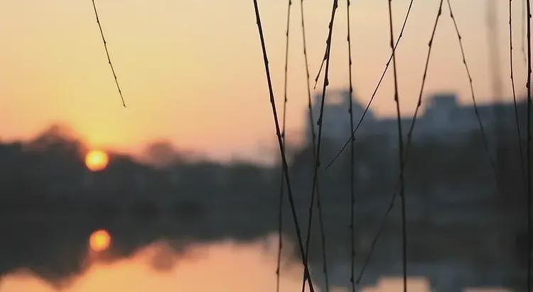 越来越多人怀念八十年代,实质是对觉醒、宽容和人性回归的期盼(组图) - 26