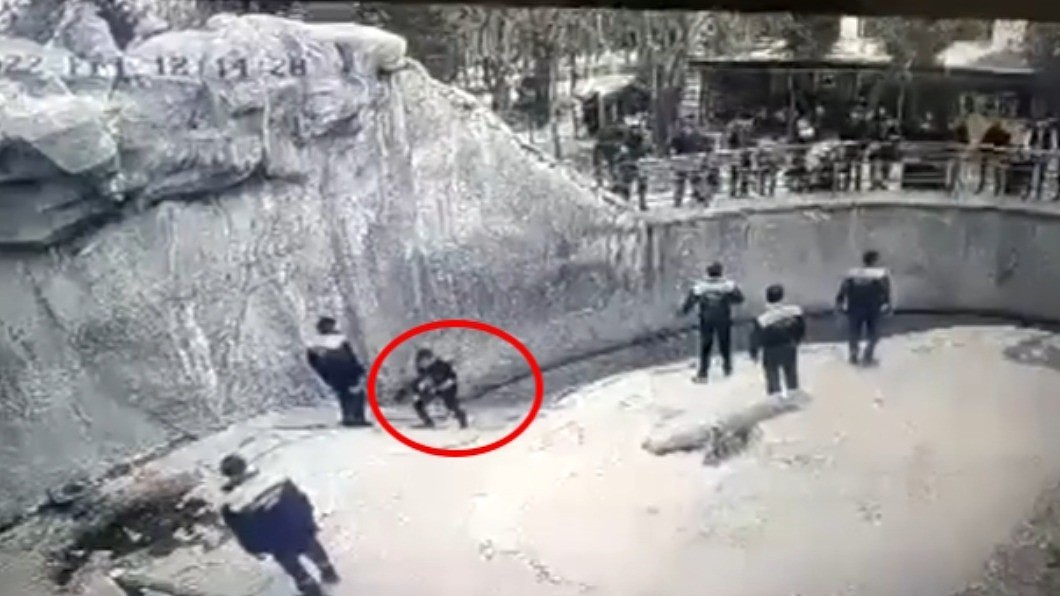 母亲带3岁女逛动物园，竟把她丢去喂棕熊，画面曝光（组图） - 2