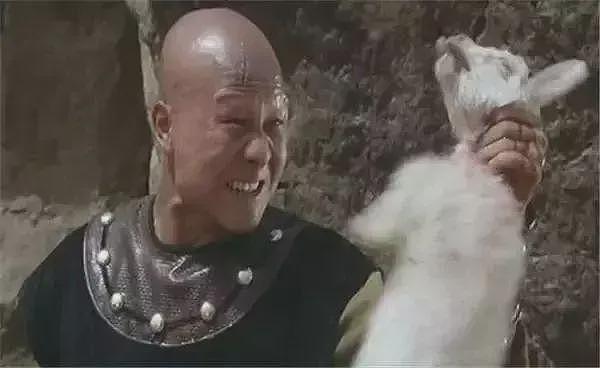 越来越多人怀念八十年代,实质是对觉醒、宽容和人性回归的期盼(组图) - 15