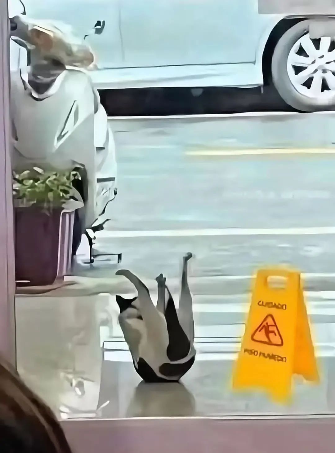 【爆笑】“分手后被前任送了一套房.....”啊啊啊啊啊好小众的文字（组图） - 22