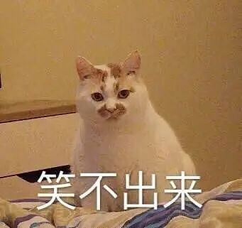 爆火的“奔驰亮证姐”什么人?记者致电问官方身份回应给我气吐血(组图) - 9