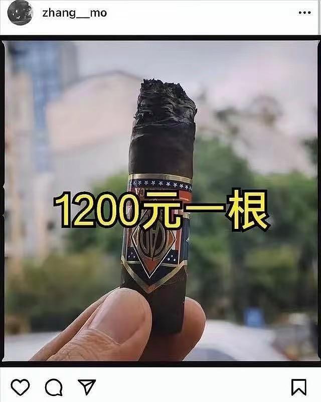 43岁张默炫富啃老,难怪张国立到处敛财坚决不退休(组图) - 4