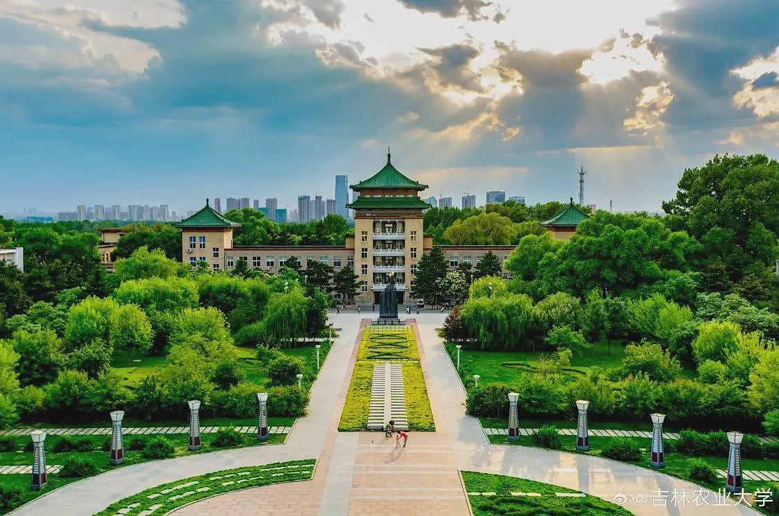 录取通知书变“小鸡炖蘑菇”？高校回应（组图） - 2