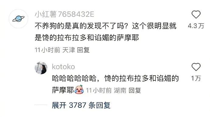 【爆笑】“发现老公总是半夜去酒店消费后....”啊啊啊啊啊啊啊最意想不到的一集(组图) - 76