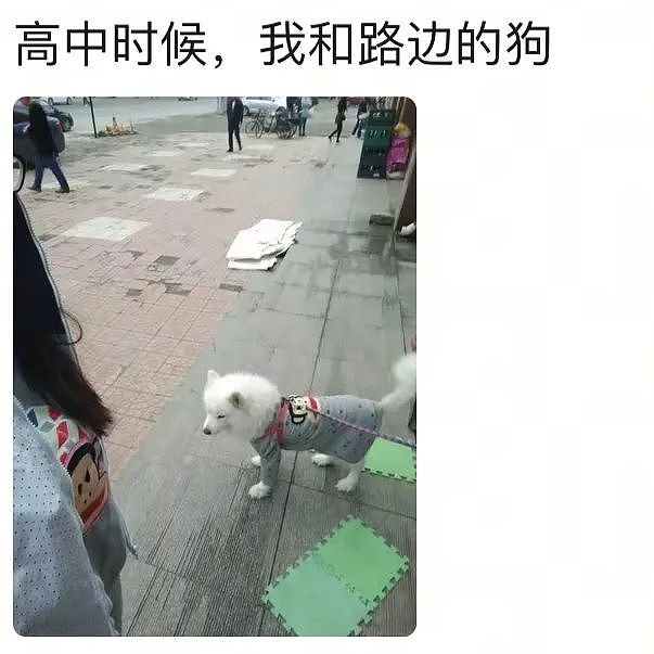 【爆笑】“发现老公总是半夜去酒店消费后....”啊啊啊啊啊啊啊最意想不到的一集(组图) - 32