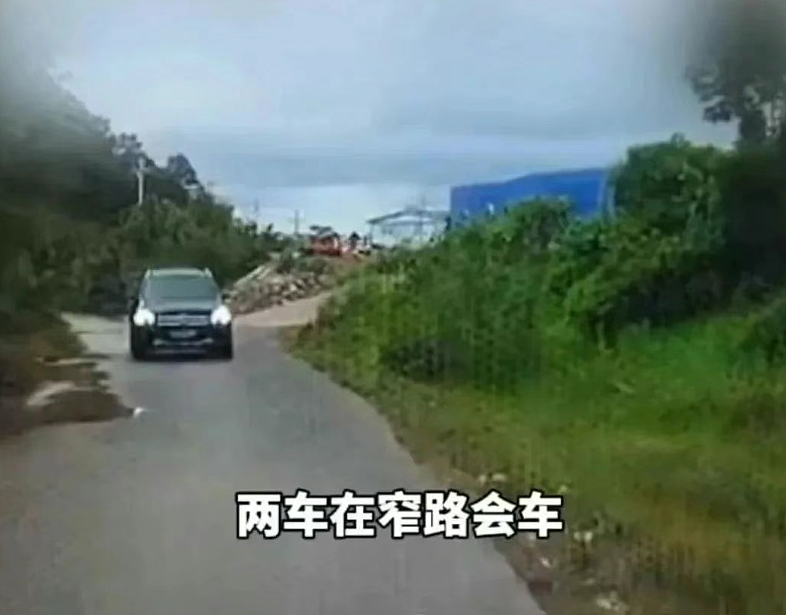 爆火的“奔驰亮证姐”什么人?记者致电问官方身份回应给我气吐血(组图) - 1
