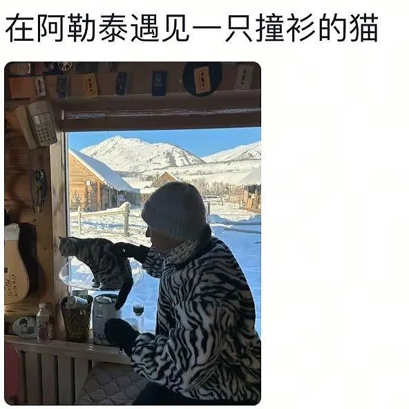【爆笑】“发现老公总是半夜去酒店消费后....”啊啊啊啊啊啊啊最意想不到的一集(组图) - 36