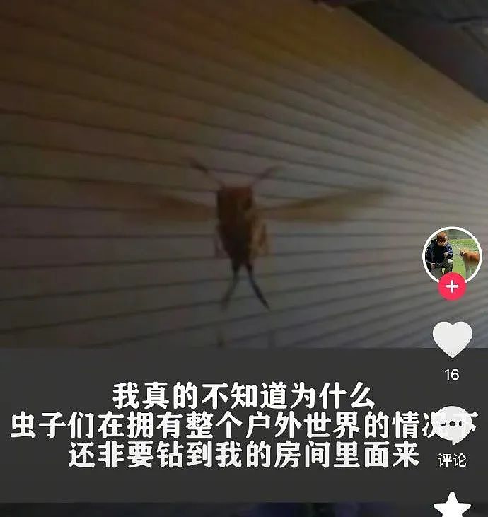 【爆笑】“分手后被前任送了一套房.....”啊啊啊啊啊好小众的文字（组图） - 19