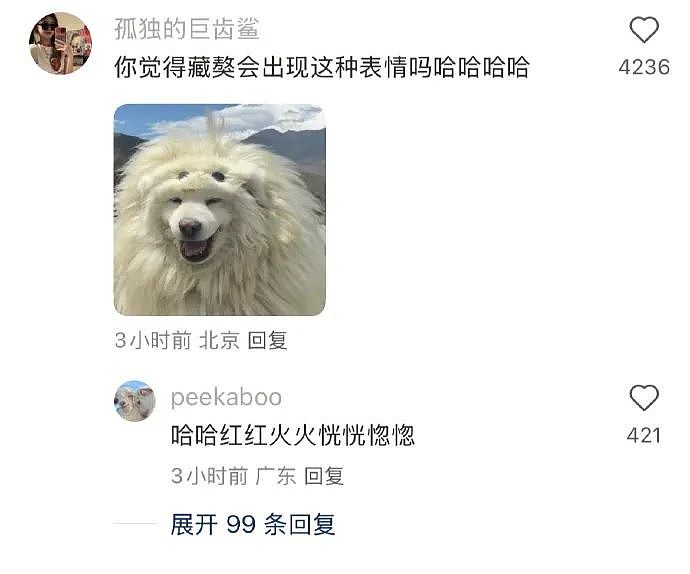 【爆笑】“发现老公总是半夜去酒店消费后....”啊啊啊啊啊啊啊最意想不到的一集(组图) - 77