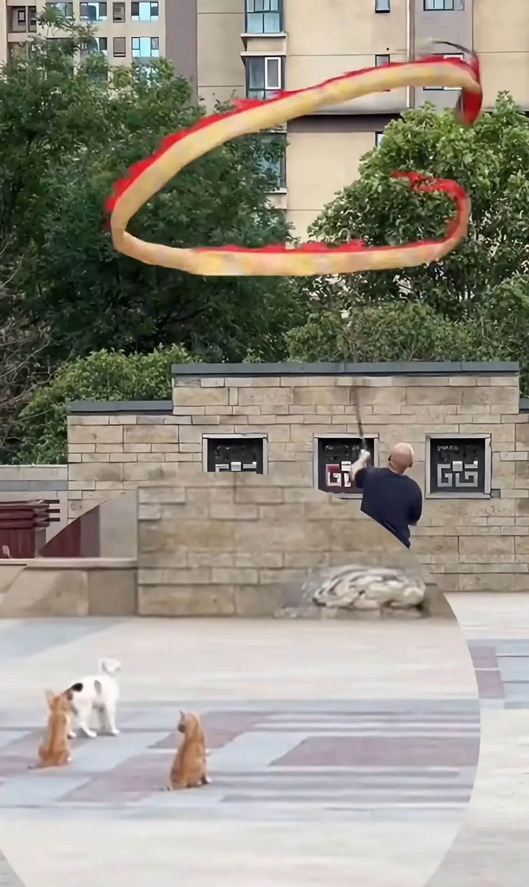 【爆笑】“学历改成高中后HR求着我入职…？”啊啊啊这就业环境我不李姐！（组图） - 64