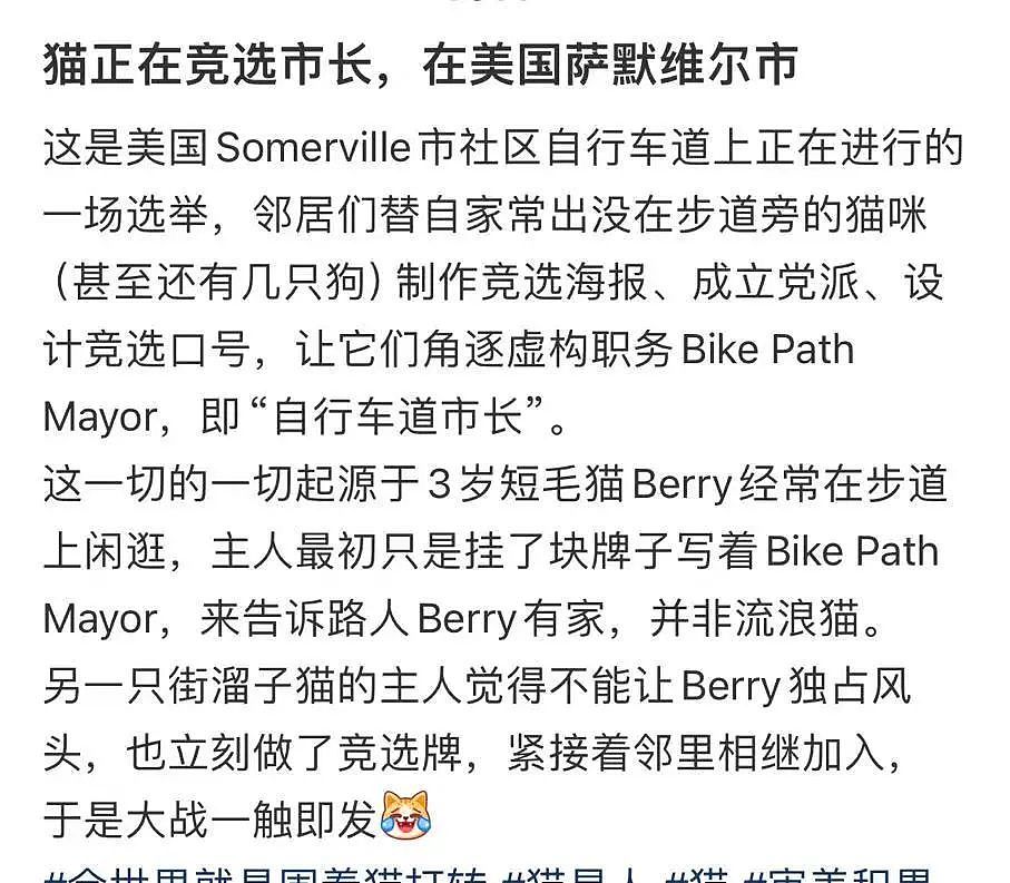 【爆笑】“学历改成高中后HR求着我入职…？”啊啊啊这就业环境我不李姐！（组图） - 50