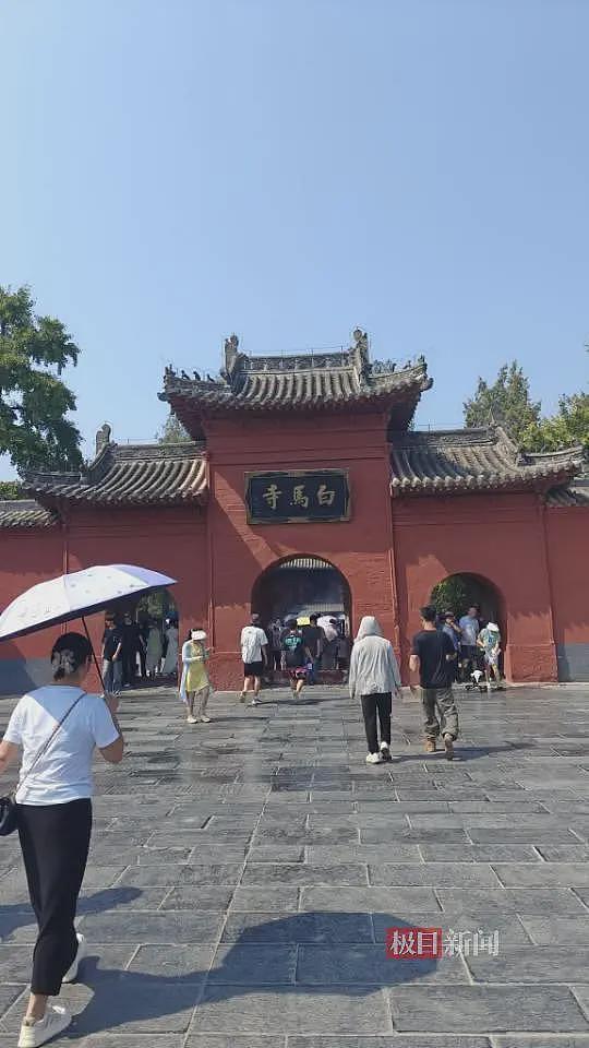实探白马寺:僧人顶着38度高温种地,义工称寺里一直农禅并重(组图) - 1