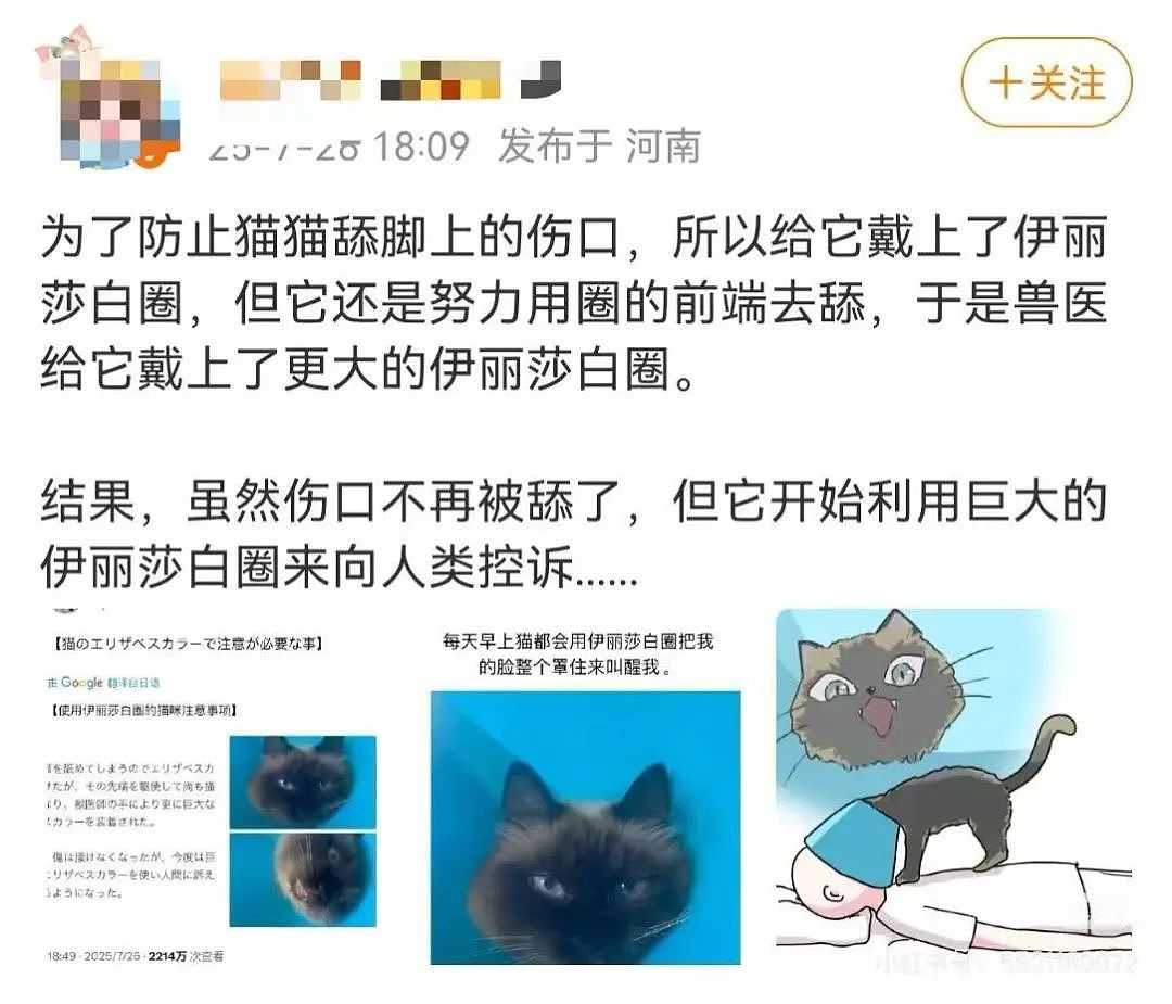【爆笑】“学历改成高中后HR求着我入职…？”啊啊啊这就业环境我不李姐！（组图） - 15