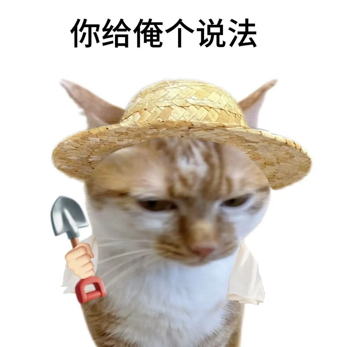 【爆笑】“学历改成高中后HR求着我入职…？”啊啊啊这就业环境我不李姐！（组图） - 3