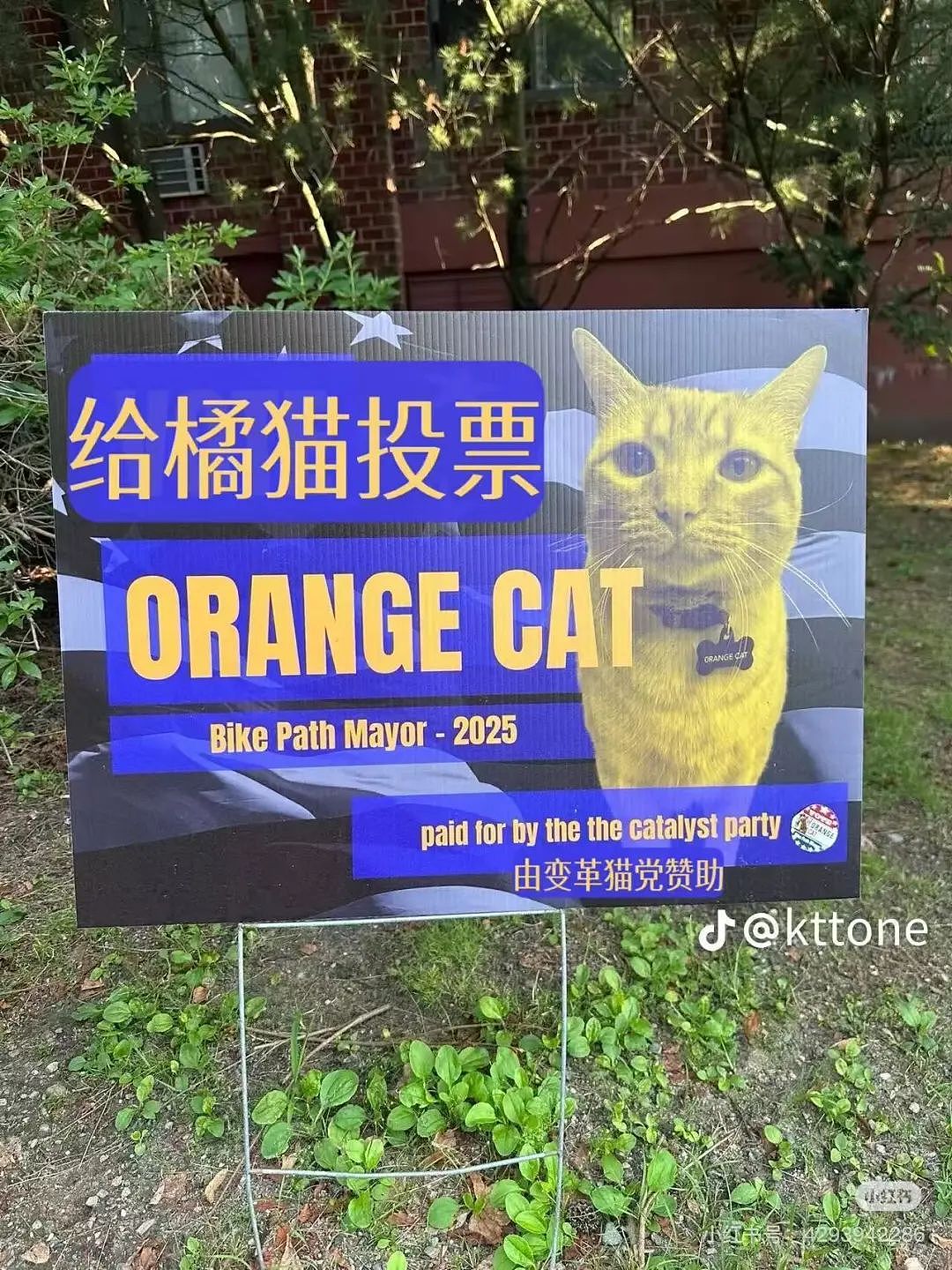 【爆笑】“学历改成高中后HR求着我入职…？”啊啊啊这就业环境我不李姐！（组图） - 52