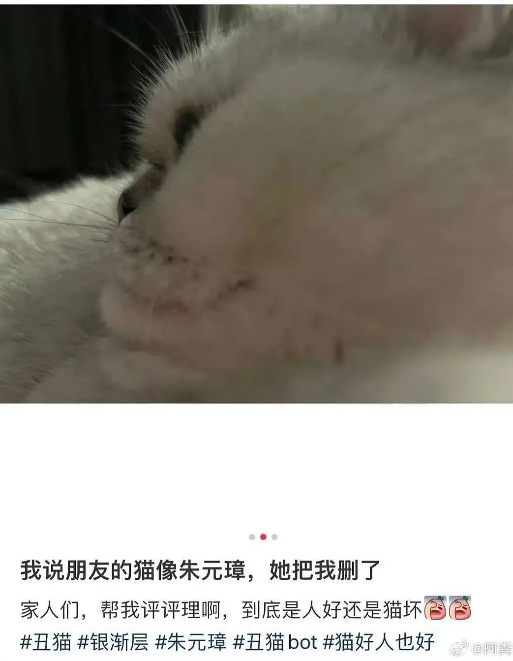 【爆笑】“绿茶女同事在领导面前阴阳我…？”啊啊啊每个公司都有这样一号人！（组图） - 58