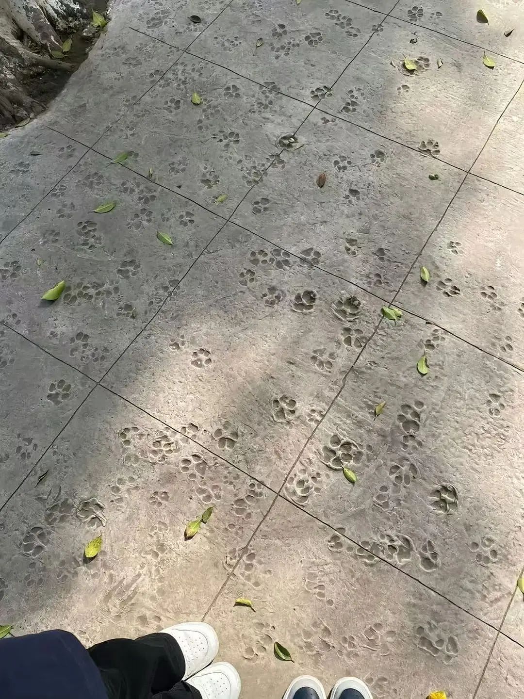 【爆笑】“绿茶女同事在领导面前阴阳我…？”啊啊啊每个公司都有这样一号人！（组图） - 61