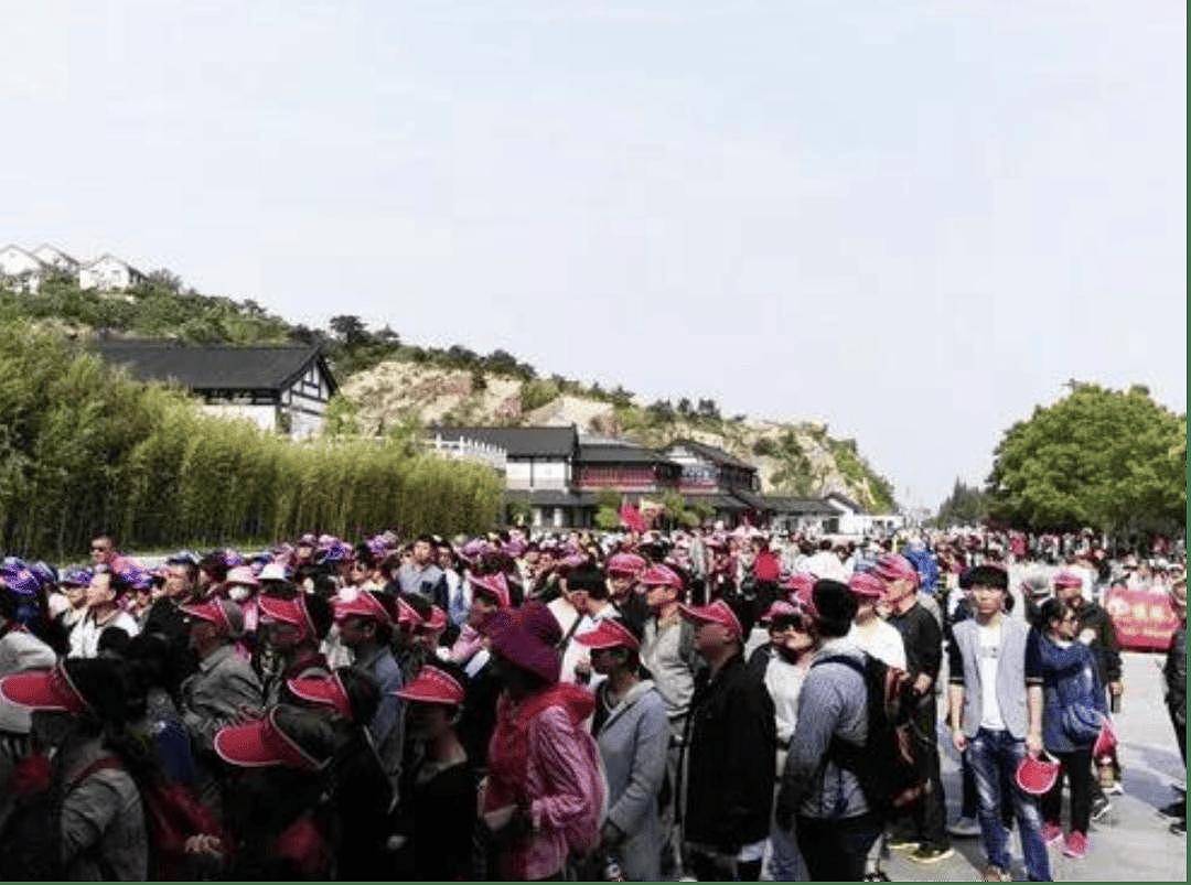 99元豪华游,被骗到“内裤”不剩(组图) - 30