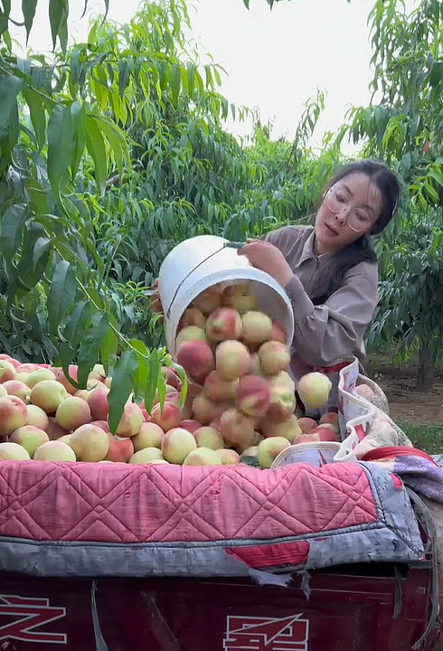 【情感】火遍全网的“卖菜西施”:父母智力残疾,她却把苦日子过成花,被人民日报点赞(组图) - 15