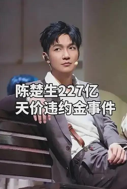 赵露思直播说想尽快和公司解约,违约金4亿打底,公司不愿意放人(组图) - 6
