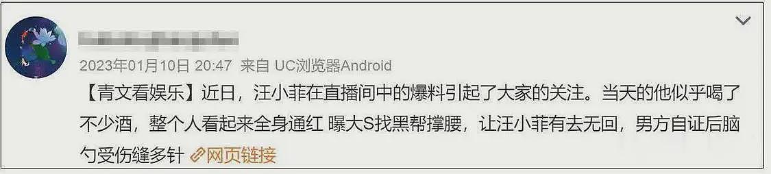 大S之死牵涉日本黑帮风波升级!关系遭深扒,本人多次说漏嘴(组图) - 17