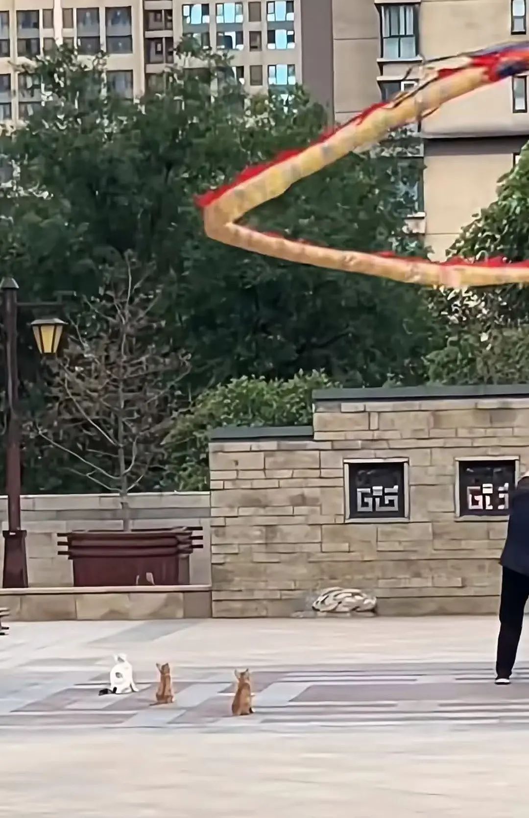 【爆笑】“学历改成高中后HR求着我入职…？”啊啊啊这就业环境我不李姐！（组图） - 63