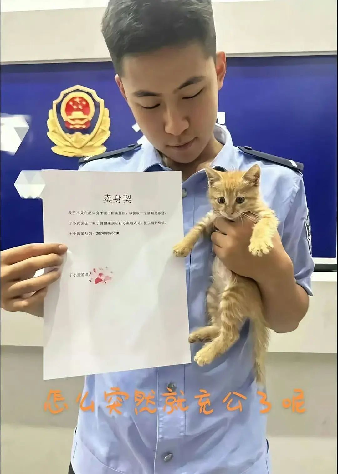 【爆笑】“学历改成高中后HR求着我入职…？”啊啊啊这就业环境我不李姐！（组图） - 90