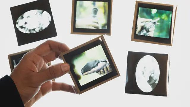 邱吉尔的鸭嘴兽死亡之谜是如何解开的（组图） - 4