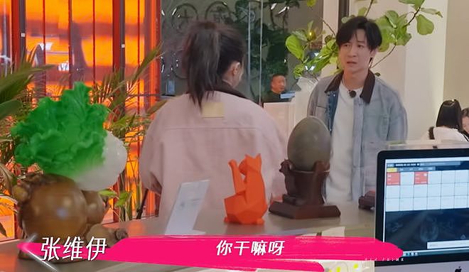 宋丹丹随口的婚姻心得，彻底揭起来了董璇张维伊婚姻的“遮羞布”（组图） - 11