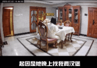 【宠物】狗狗看上了主人的汉堡，使计让主人离开张口就夺走，还贴心把门关上慢慢吃，狗：一点不贪心哦（视频/组图） - 8