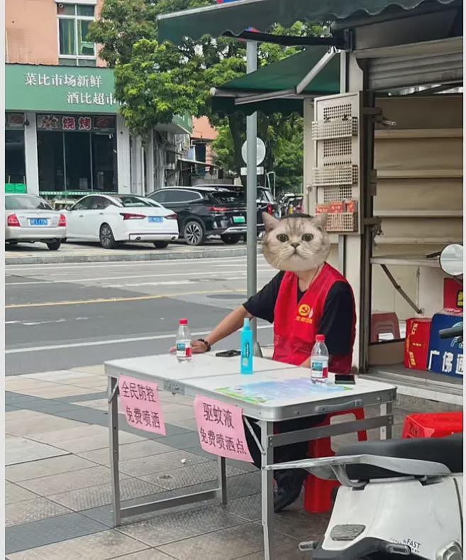 最近佛山所发生的事情，让网友们看到那三年似乎越来越近（组图） - 6