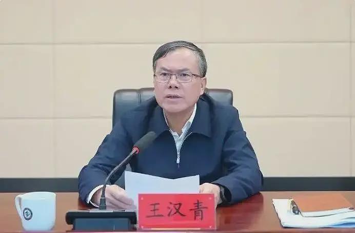 大搞学术腐败,侵吞科研经费,王汉青被“双开”(图) - 1