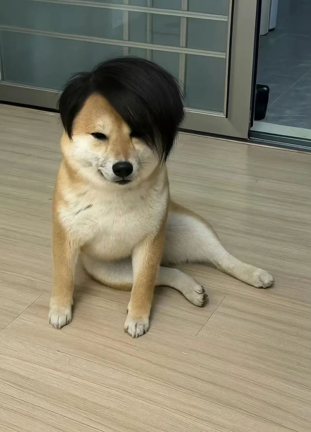 【爆笑】“吐槽甲方不小心发给了本人后......” 哈哈哈哈哈哈真是太机智了（组图） - 38