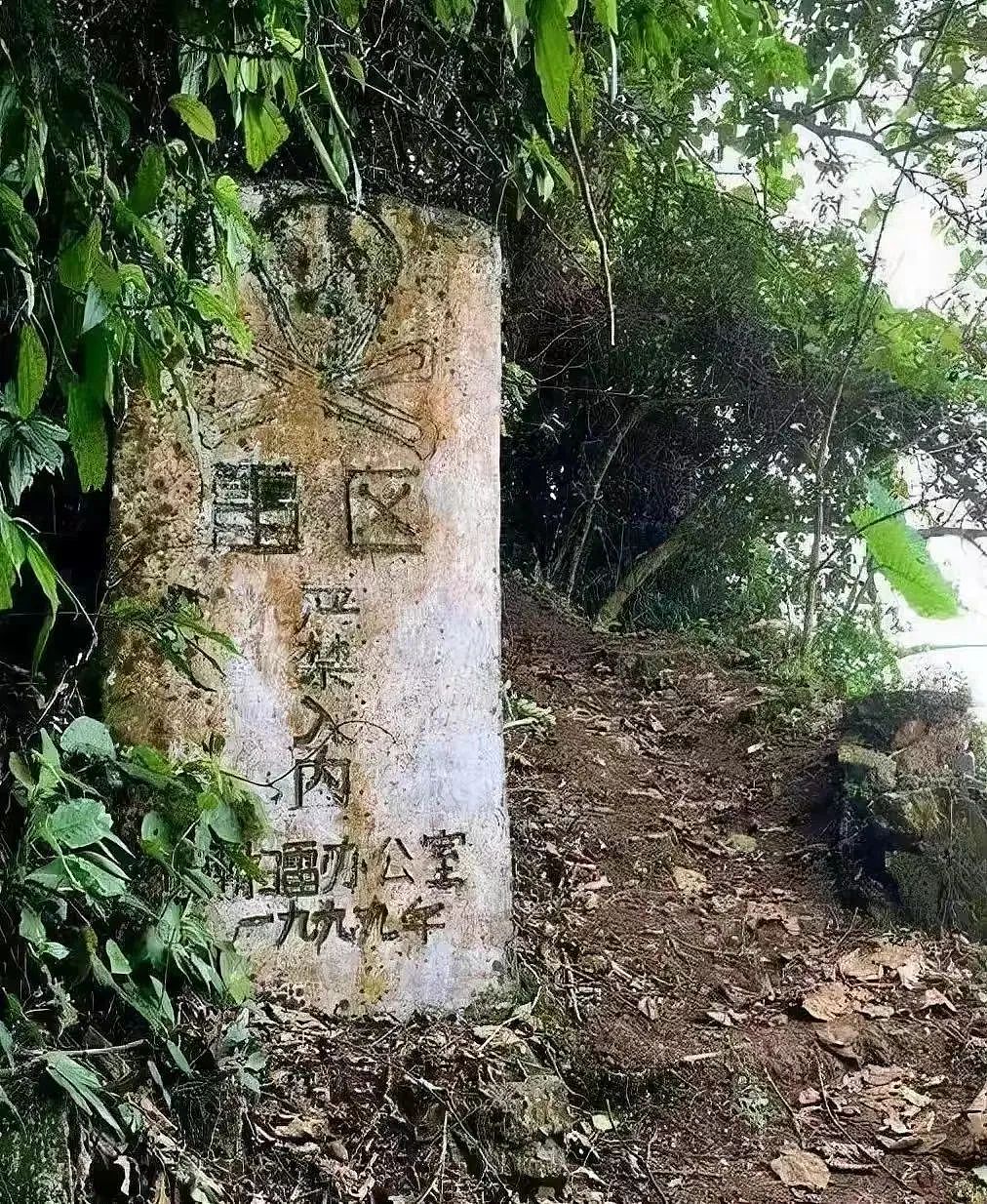 【情感】“排雷英雄”杜富国:为保护战友被炸成血人!新婚妻子说:今生我就是你的眼睛和手(组图) - 6