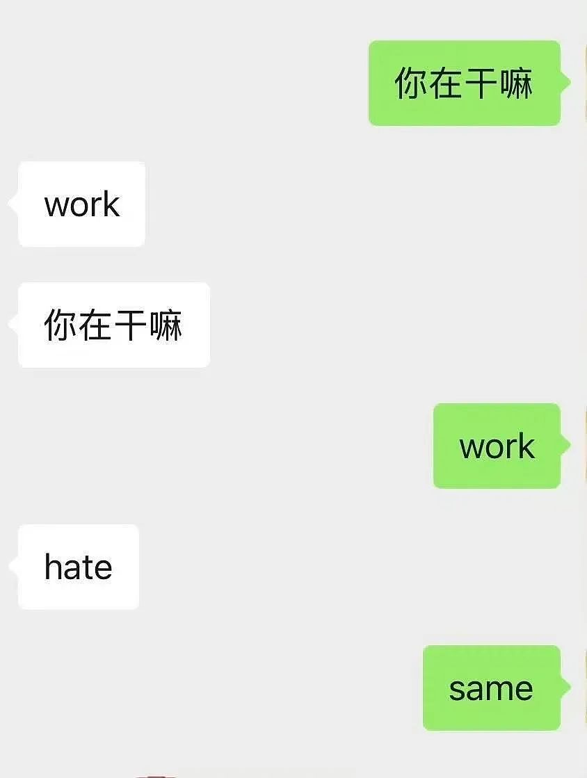 【爆笑】“同事不小心在大群里发了私密照后...” 啊啊啊啊啊啊实在太荒诞了(组图) - 50
