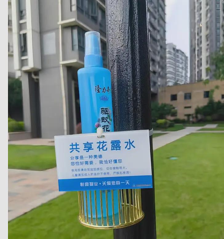 最近佛山所发生的事情，让网友们看到那三年似乎越来越近（组图） - 7