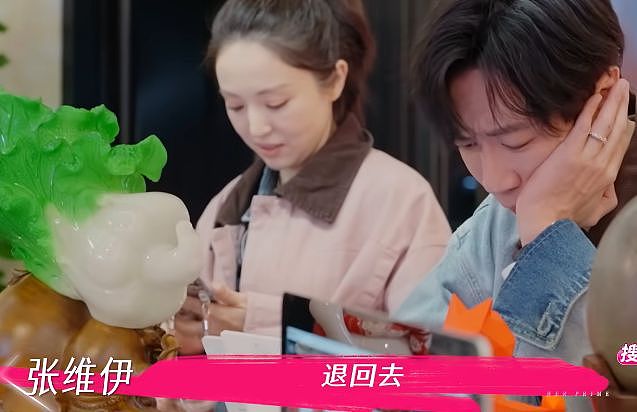 宋丹丹随口的婚姻心得，彻底揭起来了董璇张维伊婚姻的“遮羞布”（组图） - 14