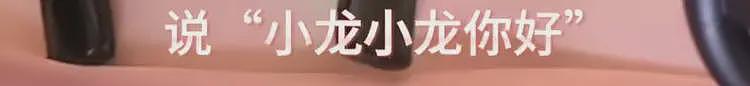 网红“迅猛龙”正式入读复旦，班级合照登热搜第一，直言“不想跟同学社交，占用休息时间”（组图） - 10