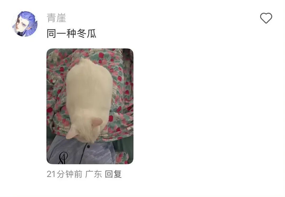 【爆笑】“吐槽甲方不小心发给了本人后......” 哈哈哈哈哈哈真是太机智了（组图） - 43