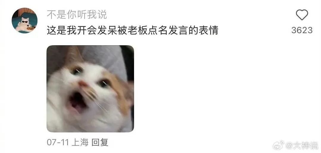 【爆笑】“同事不小心在大群里发了私密照后...” 啊啊啊啊啊啊实在太荒诞了(组图) - 14